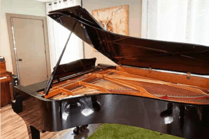 Brand-new recording complex opens in Westchester