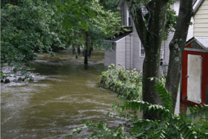 FEMA Disaster Assistance Deadline extended