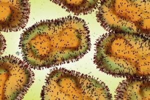 Health officials confirm Monkeypox cases in Westchester